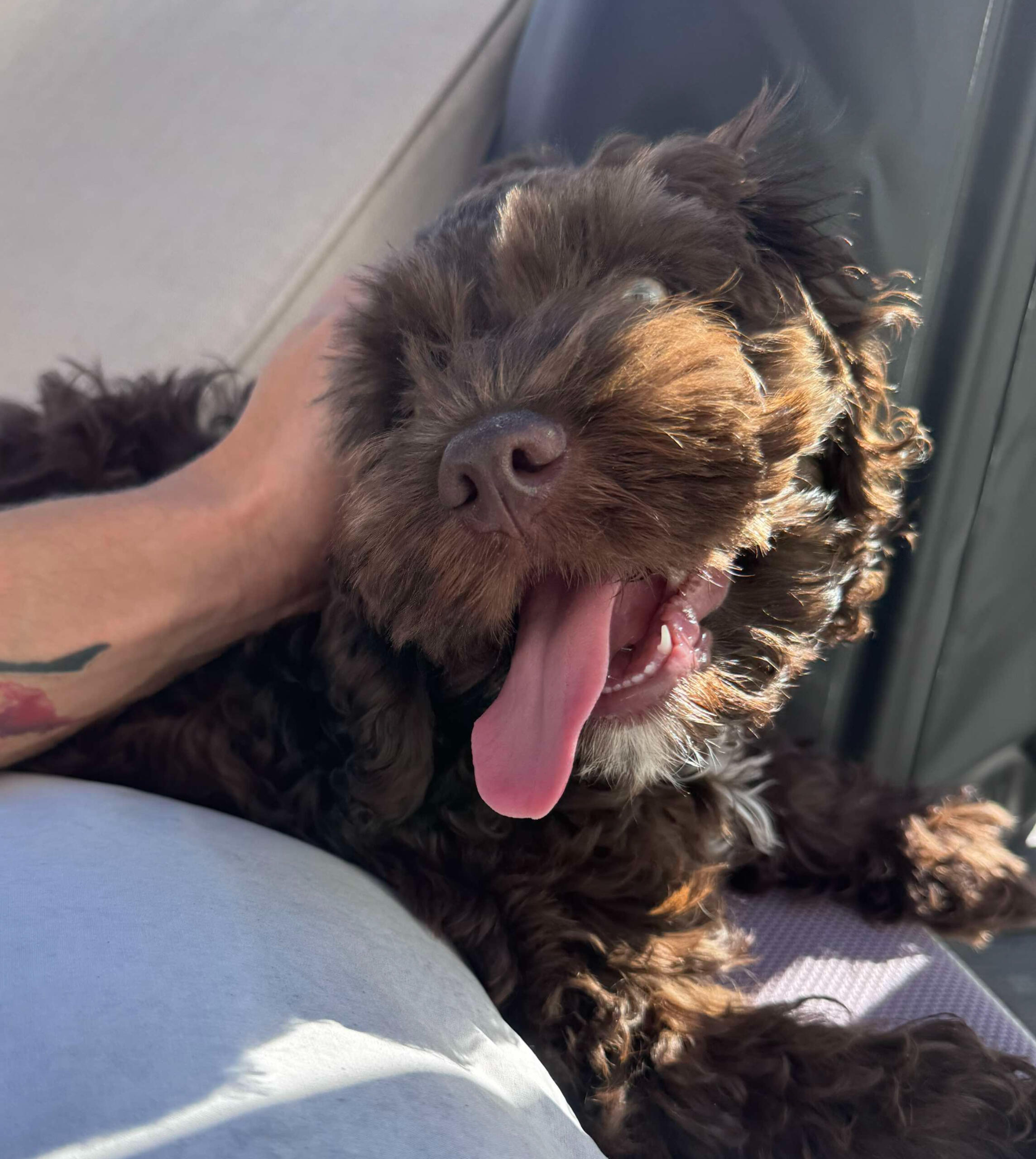 Lil' Bro smiling in the sunshine